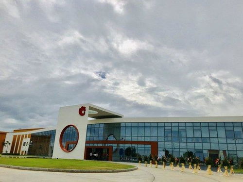 布局海外市場 洽洽開啟堅果品牌全球化新征程