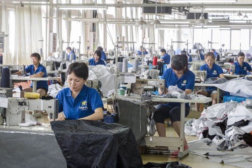 天臺建200個 工廠價 車品企業擴大線上銷售