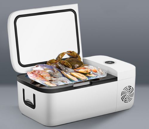 讓愛車更精致,眾多車品好物盡在蘇寧小biu車品節